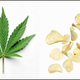 Illustration for article titled Irish potato chip company apologizes for fun uncles weed farm